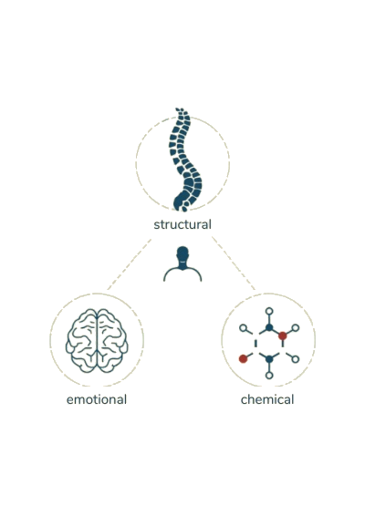 The three pillars of whole-body health: structural, chemical, and emotional